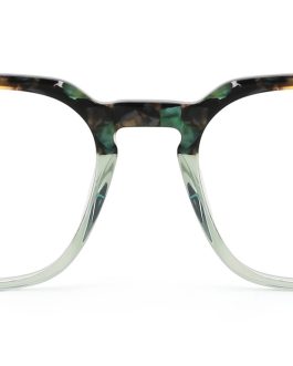 Prescription Glasses Bellevue Green Tortoiseshell